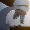 How Electron Microscopy & ToF Technology Transform Scientific Research