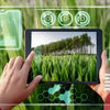 Enhancing Crop Monitoring with TOF Technology for Precision